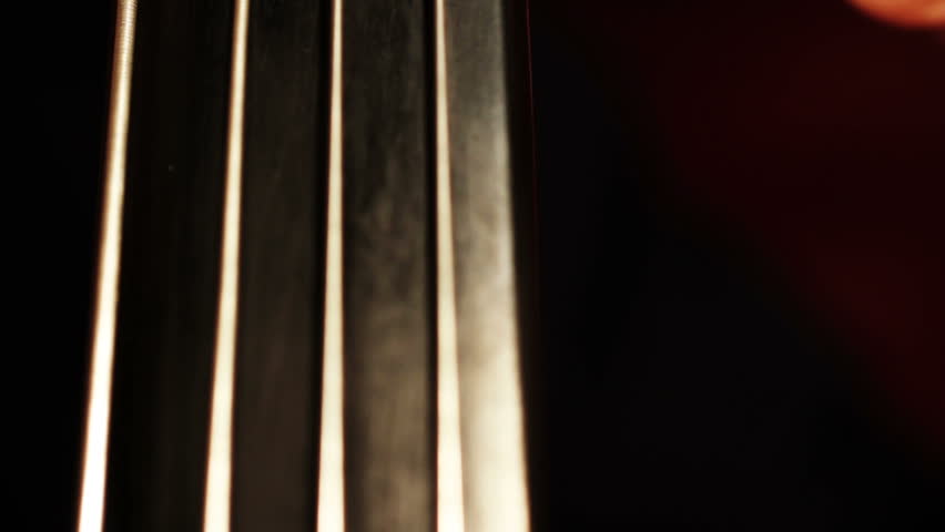 Musician and Double Bass fingerboard extreme closeup