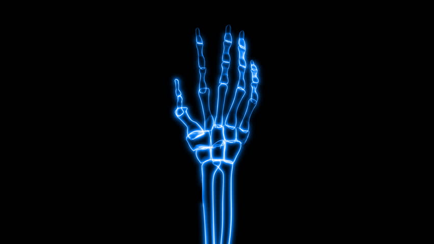 X-Ray of Human Hand Grasping HD