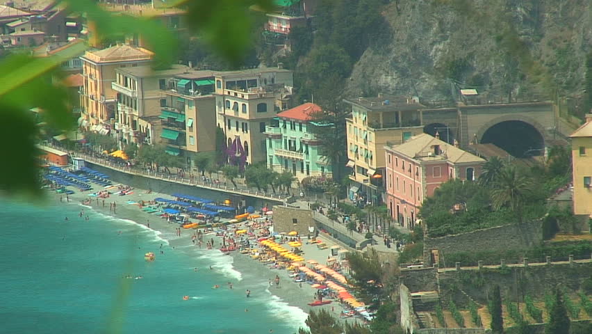 Zoom-Out from Coastal Town to Vines