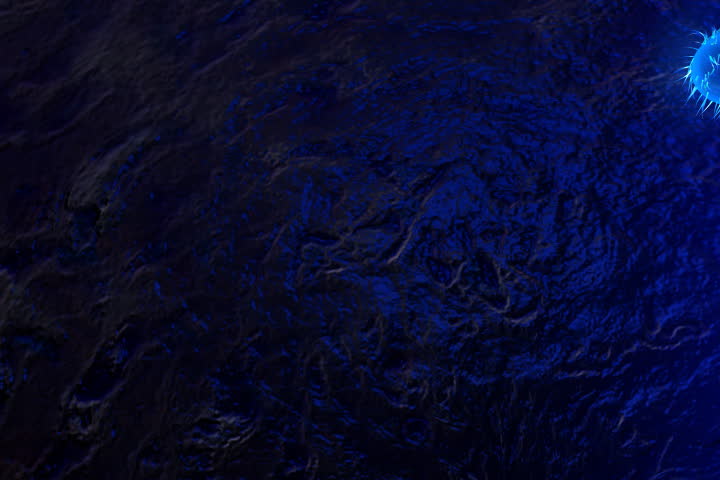 footage of bacillus bacteria in blue