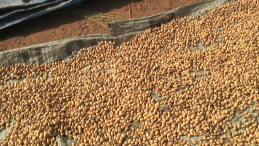 Drying foodstuffs on cloth
