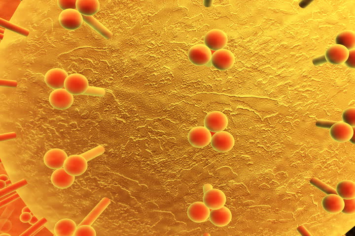 footage of  an influenza virus 