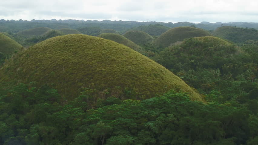 Focus View Of Chocolate Hills Bahol, Philippines