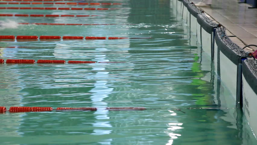 Swimming Championship