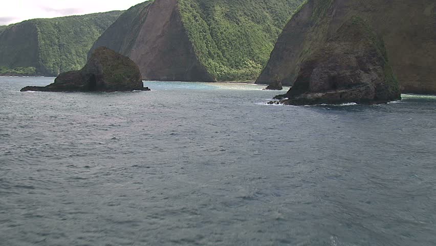 Aerial of Hamakua Valley, Hawaii