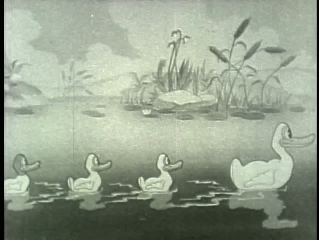 Wide shot duck family swimming on pond