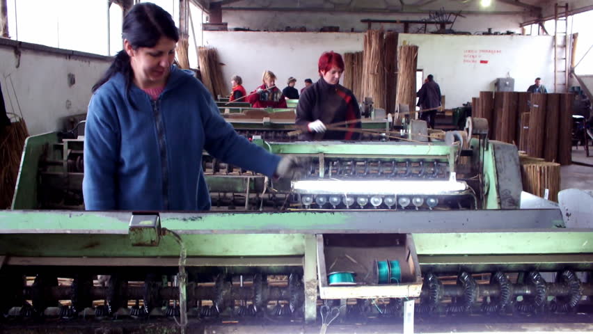 cane processing factory for the manufacture of insulating materials