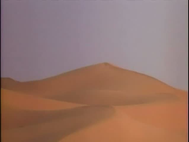 Caravan traveling through desert