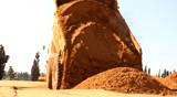 Heavy mining soil loader road vehicles truck digging Asphalt 