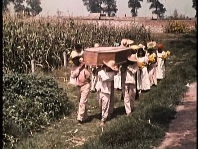 Funeral procession walking through field