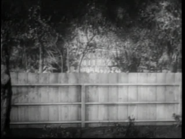 Rear view of children peering over wooden fence