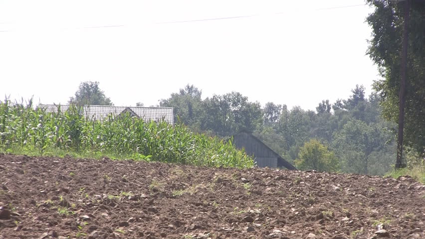 Plowed soil, wide shot