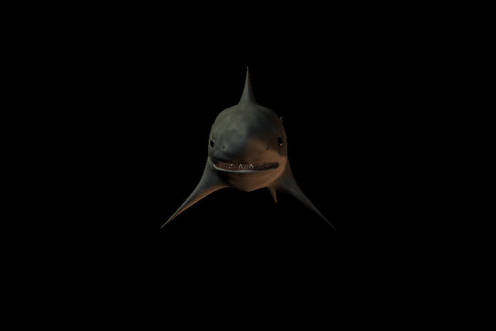 an animated shark on a true transparent alpha channel