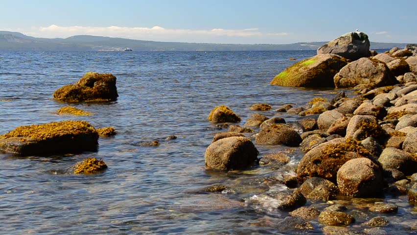 Beautiful stone seashore at sunny day at west coast of pacific ocean in Vancouver, Canada.