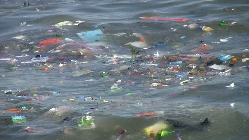 Water Pollution