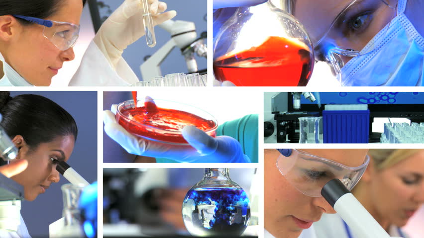 Montage collection of clips showing female medical researchers working in modern laboratory conditions
