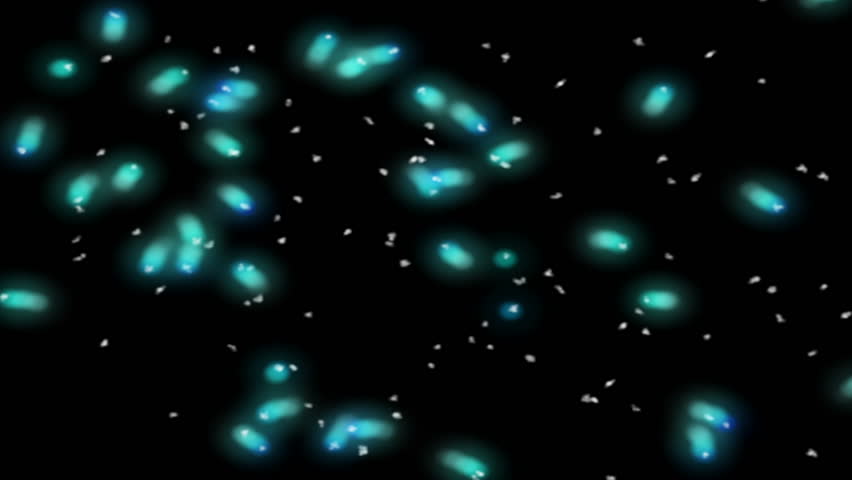 Moving bacteria and virus microbes under microscope