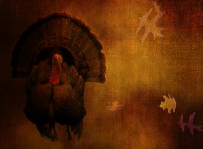 Thanksgiving turkey and falling leaves