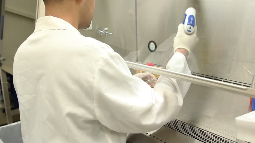 An anonymous scientist working in a biosafety cabinet pipettes media into tissue culture dishes