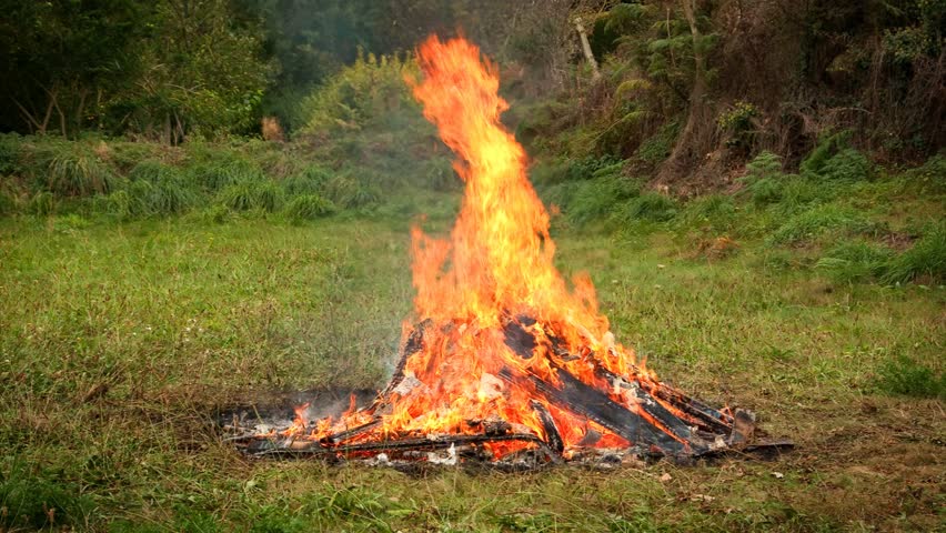 A Fire in timelapse is burning old planks outdoor to ashes