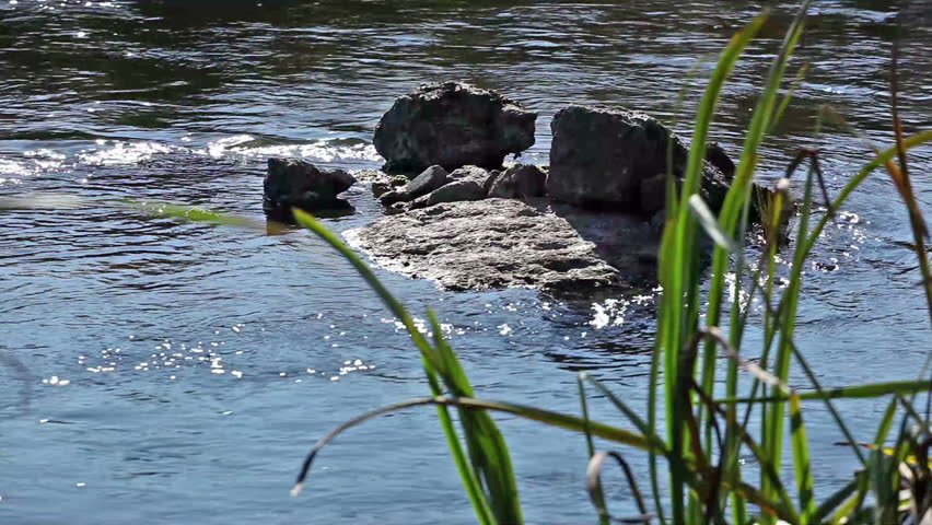Watercourse with a stone lying in it