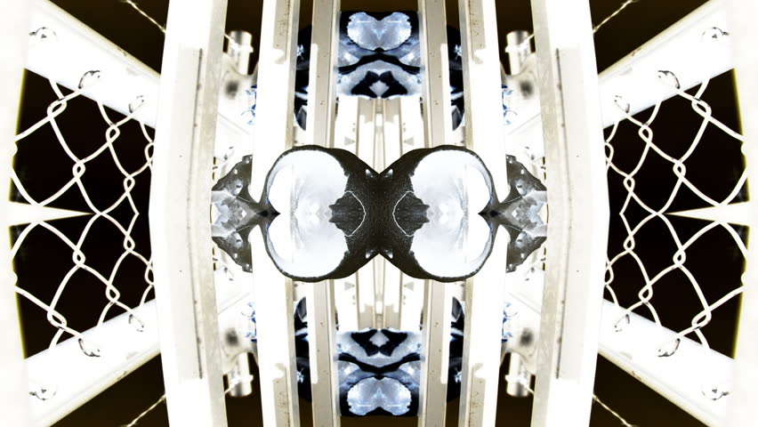 Kaleidoscopic visualization of an animal skull on a fence