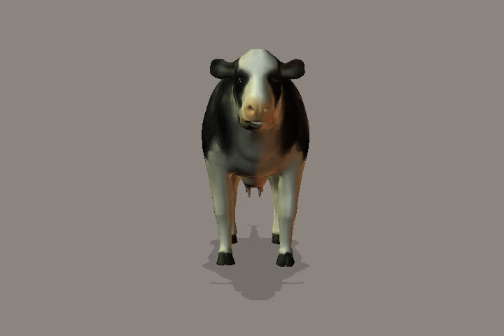 animated Holstein black and white cow moos and chews her cud on a farm background