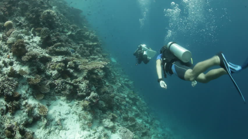 diving behind scuba divers along coral reef
