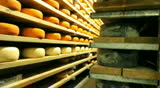 Blue cheese gouda Factory food process