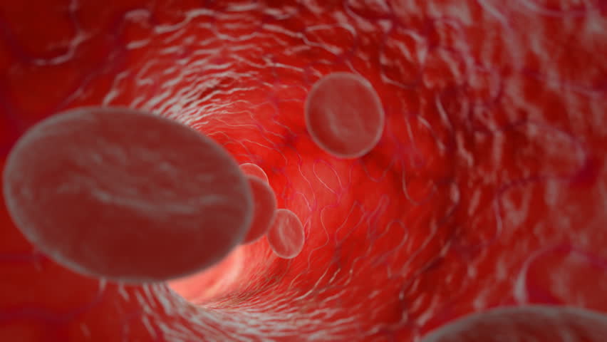 Beautiful Flying through realistic blood vessel with blood cells, HD 1080, seamless CG animation.
