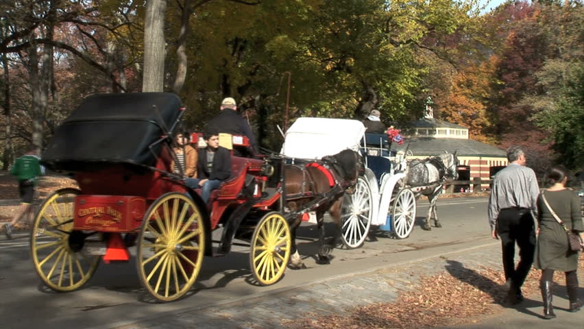 NEW YORK, NEW YORK - CIRCA 2011: Central Park bike carriage traffic
