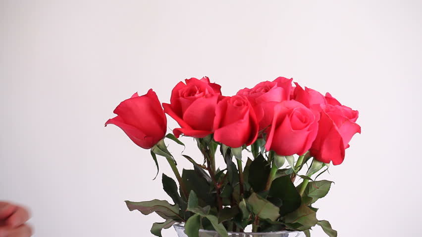 Man smelling a rose