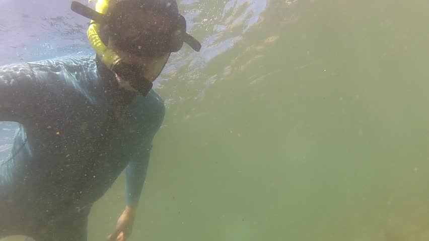 Snorkeler filmed with giant rock lobster at marine reserve Goat Island in New Zealand