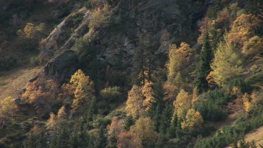 landscape in austria, alps