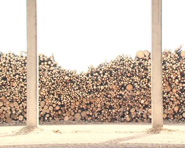 pile of shavings sawdust chips and logs. ecological renewable bio fuels from wood.