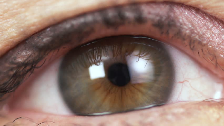 Human eye. Close up
