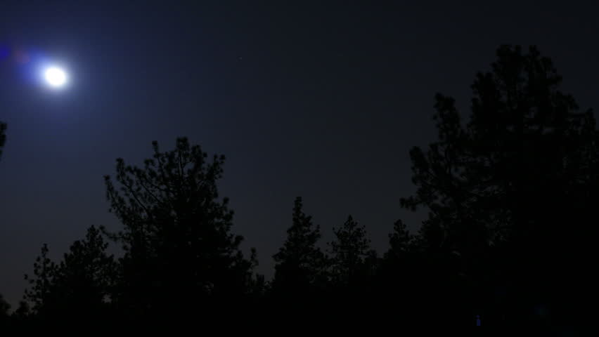 Astro Timelapse 20 Moonrise in Forest