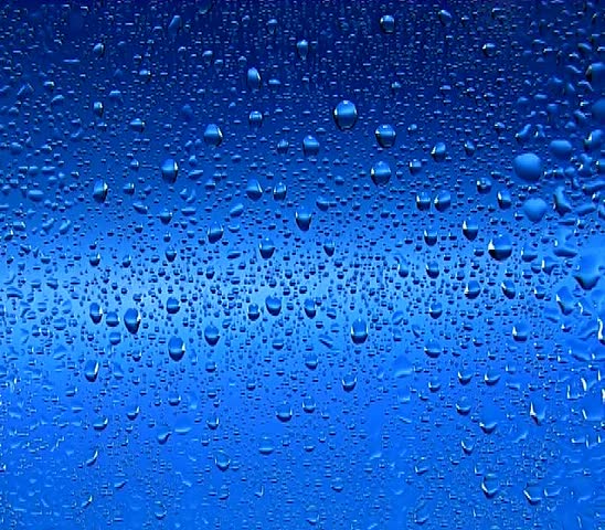 Raindrops on window