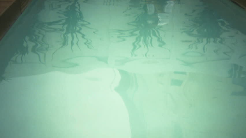 LONG SHOT PAN OF A MAN WORKING ON A LAPTOP AND THEN DIPPING HIS FEET IN A SWIMMING POOL