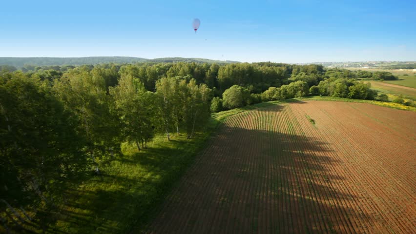 Balloons fly over wood and field against blue sky and sun