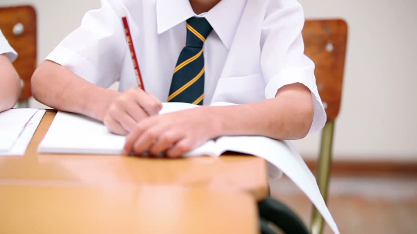 Smiling pupil wearing a uniform in the classroom