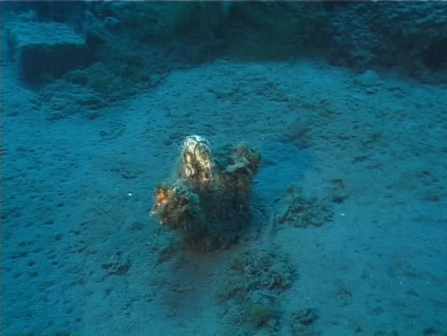 A submerged Jesus Christ sculpture. Shot captured in the Mediterranean Sea (Italy) by 3CCD camcorder.