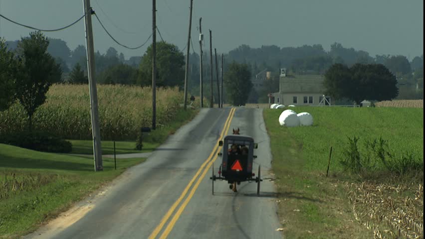 Amish horse and buggy travel down road away from camera, Lancaster, PA