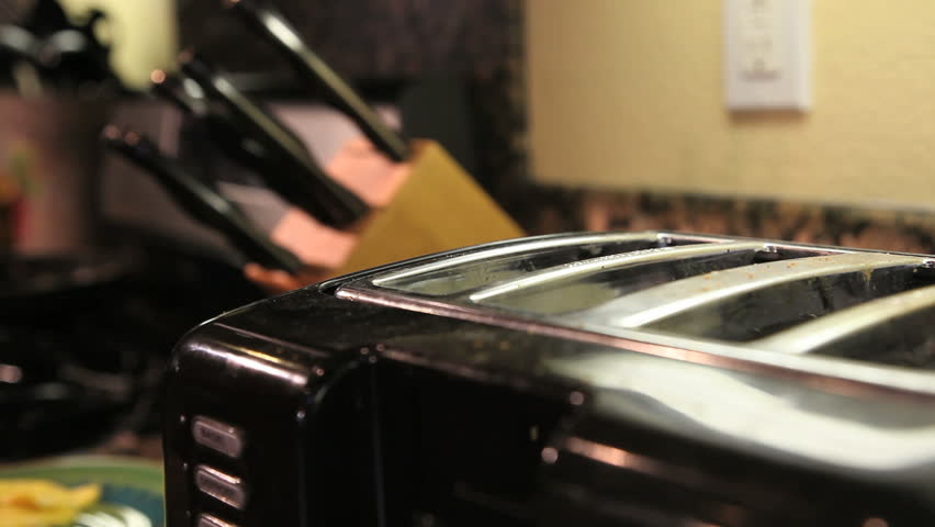 Beagles popping up from toaster