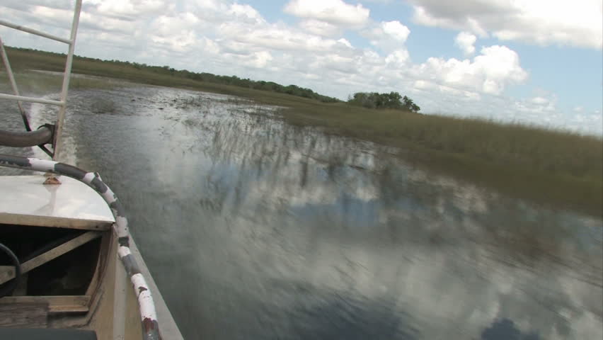 On an airboat in the Everglades