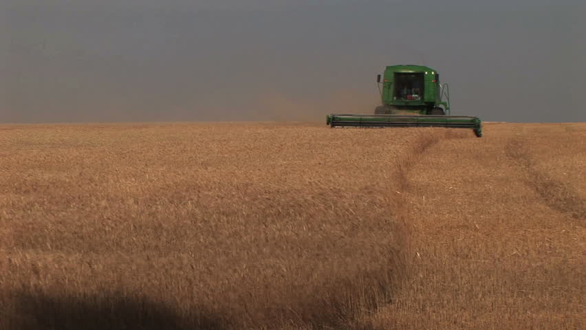 combine harvesting wheat moving toward camera, makes turn then goes out of frame, near Witchita, Kansas 