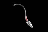 sperm swimming