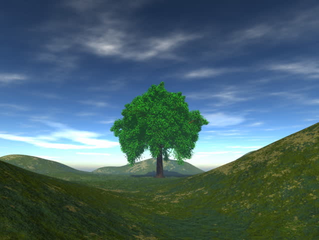 Computer-generated animation depicting the sun setting behind a tree