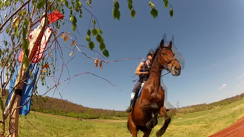horse jumping