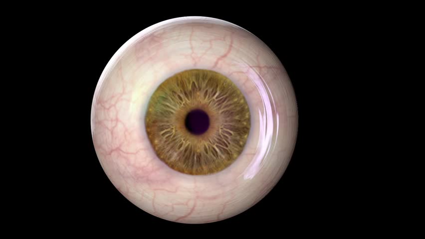 footage eyeball